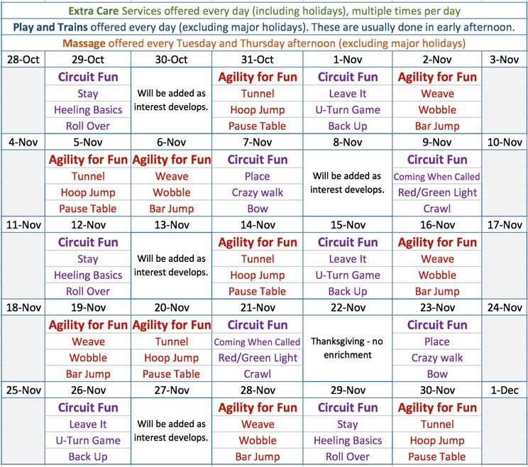 Dog Training Dog Services