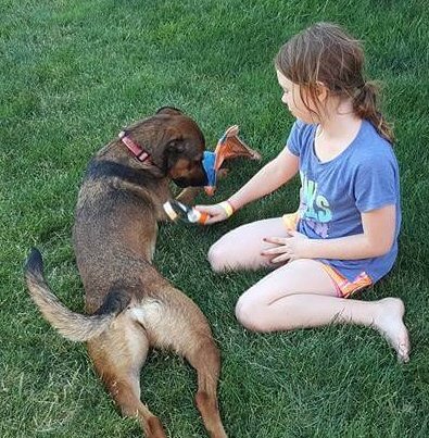 Girl Playing With Dog