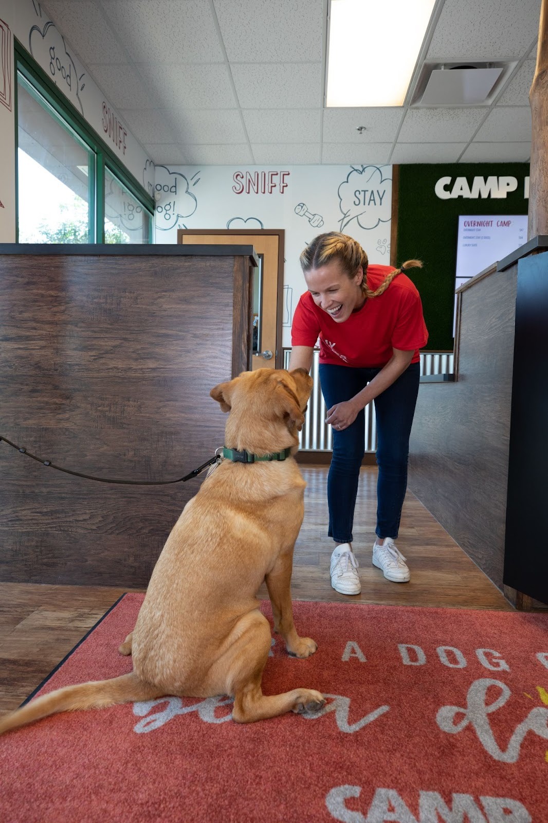 What to expect on the first day of dog daycare? Expect to be greeted by a Certified Camp Counselor™.