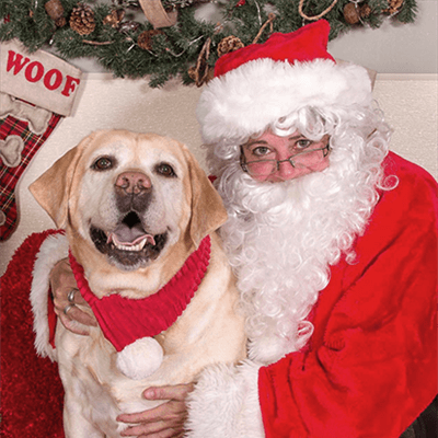 smiling dog posing with Santa Claus