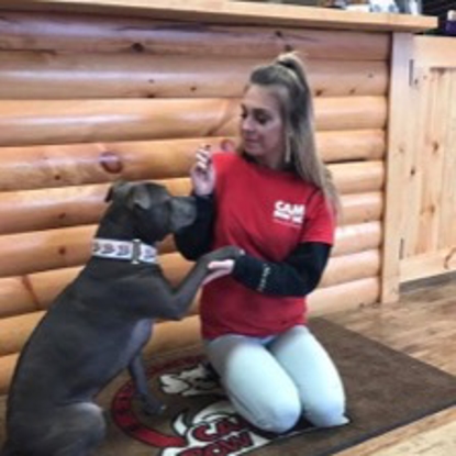 Megan  Years With Camp Bow Wow: 3 Photo