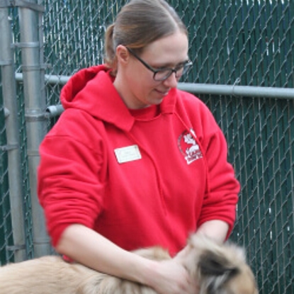 Dana  Years with Camp Bow Wow: 12 Photo