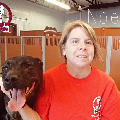 Noelle  Years with Camp Bow Wow: 2 Photo
