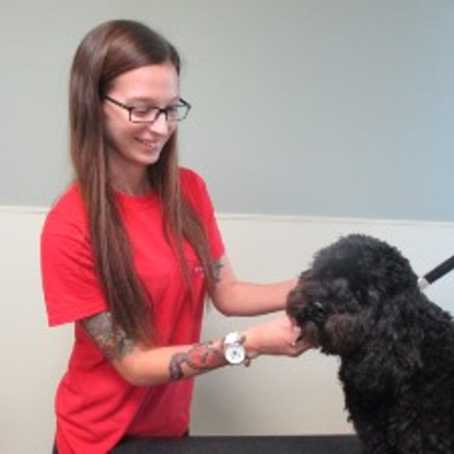Jenn  Years With Camp Bow Wow: 7 Photo