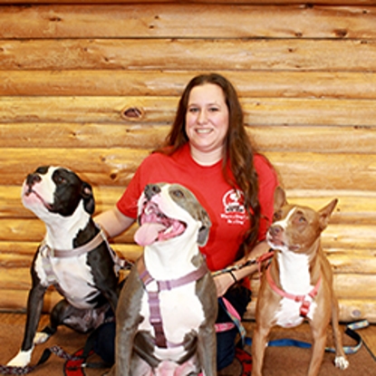 April  Years With Camp Bow Wow: 3 Photo