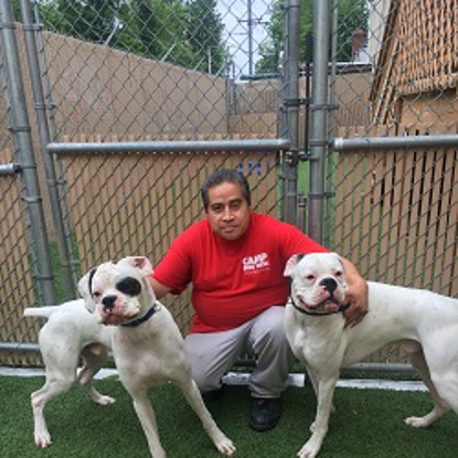 Felix  Years With Camp Bow Wow: 12 Photo