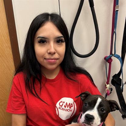 Stephanie  Moreno Photo