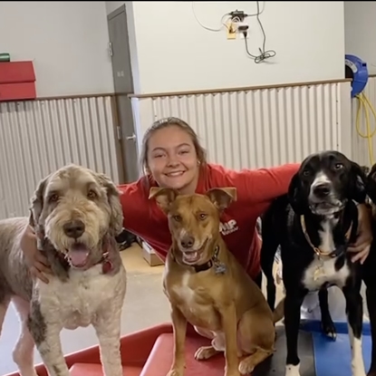 Brianna  Joined Our Pack in 2018 Photo