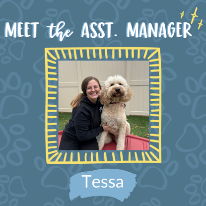 Tessa   Photo
