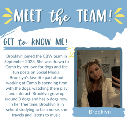 Brooklyn   Photo