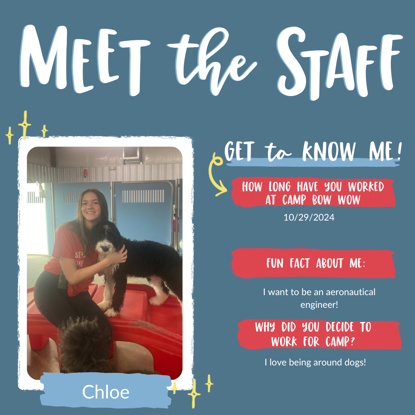 Chloe   Photo