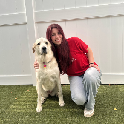 Ashton  Williams Photo