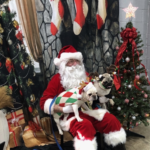 Santa Paws