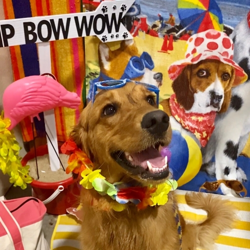 Beach Pawty 2020