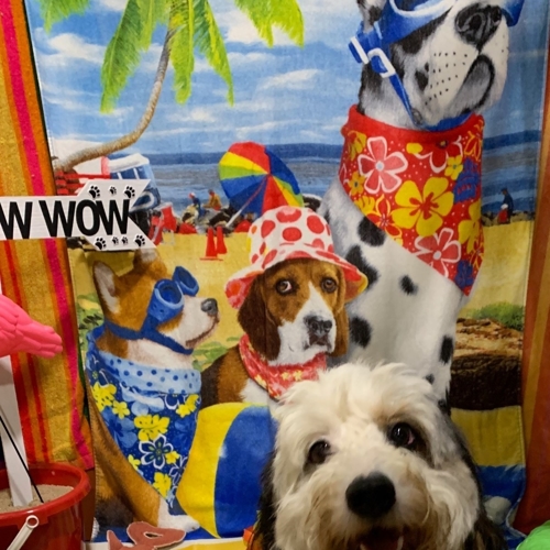 Beach Pawty 2020