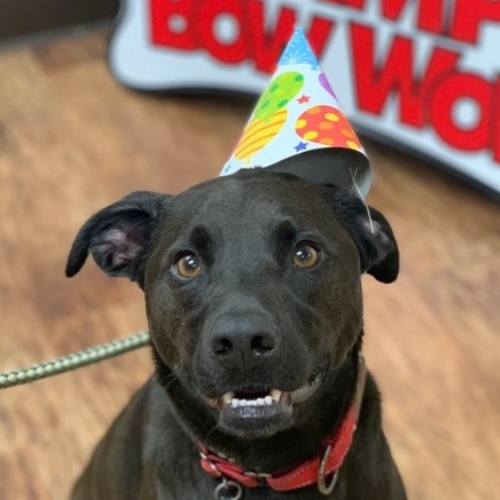 Camper of the Month