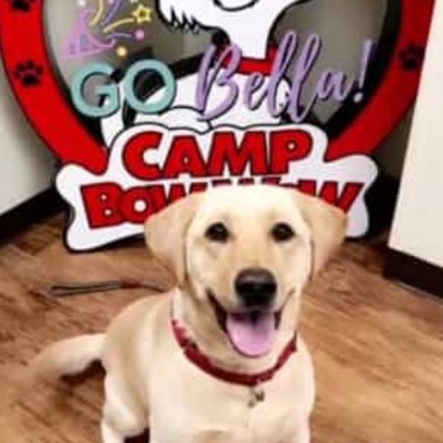 Camper of the Month
