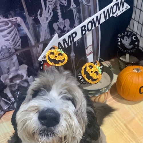 Howl A Ween