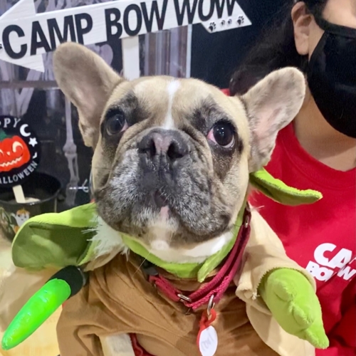 Howl A Ween