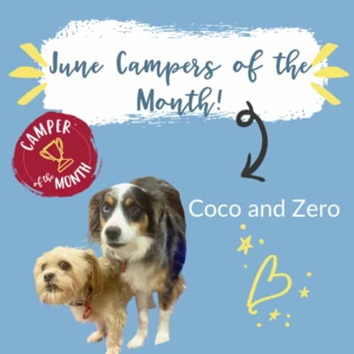 Camper of the Month