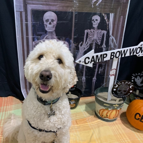 Howl A Ween