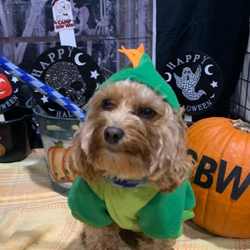 Howl A Ween