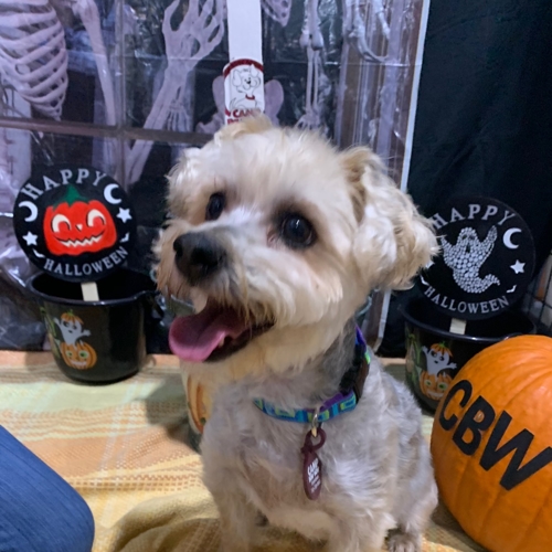 Howl A Ween