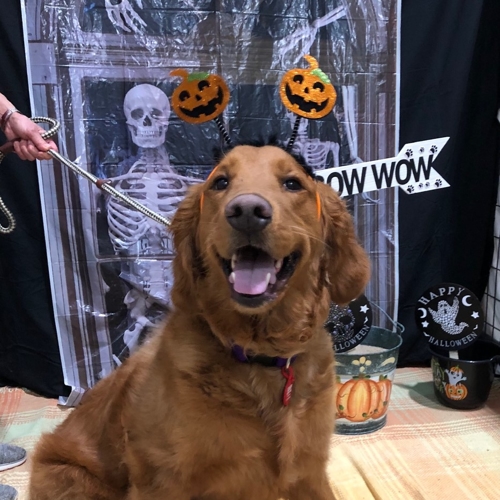 Howl A Ween
