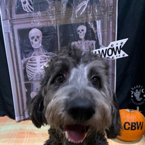 Howl A Ween