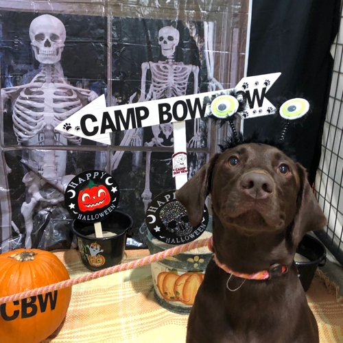 Howl A Ween