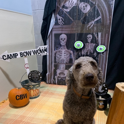 Howl A Ween