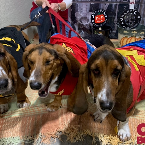 Howl A Ween
