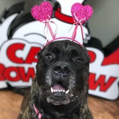 Camper of the Month
