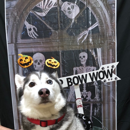 Howl A Ween