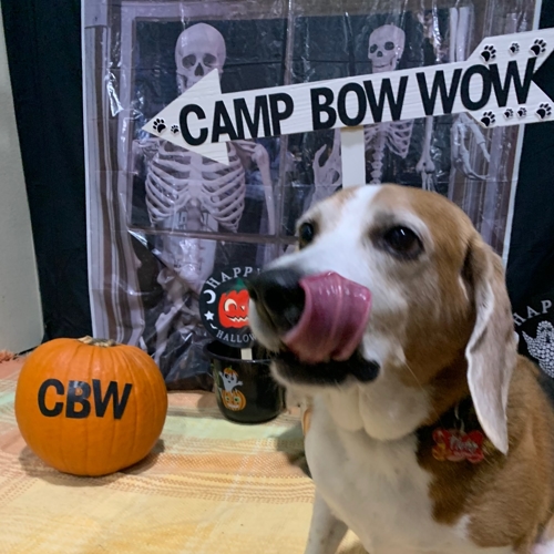 Howl A Ween