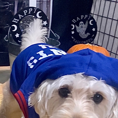 Howl A Ween