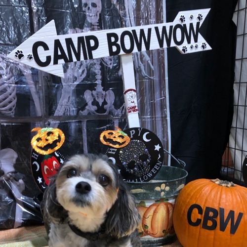 Howl A Ween