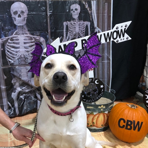 Howl A Ween
