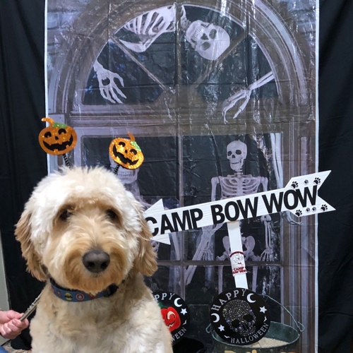 Howl A Ween