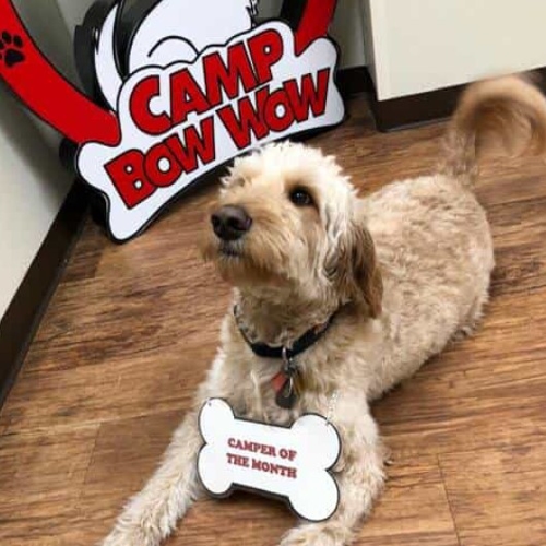 Camper of the Month