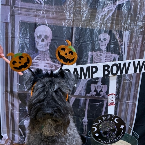 Howl A Ween