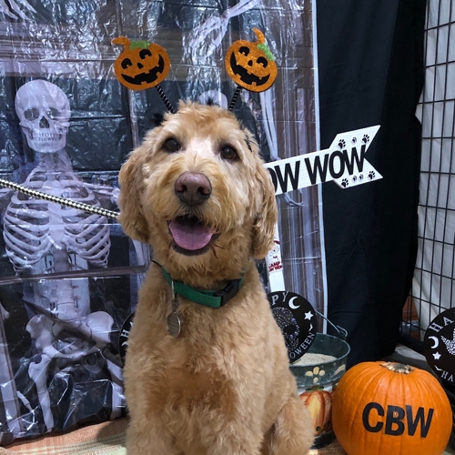 Howl A Ween