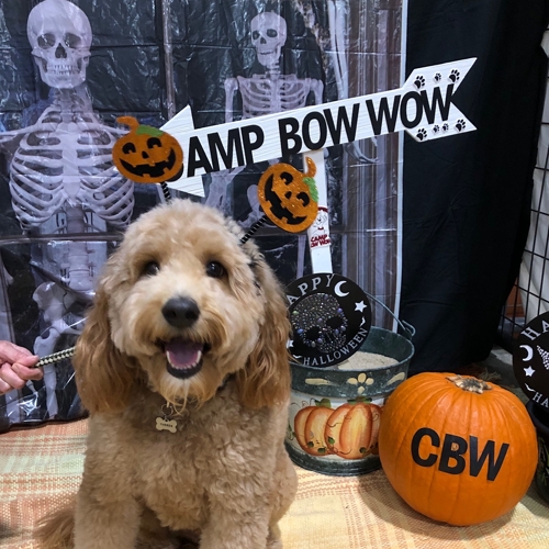Howl A Ween