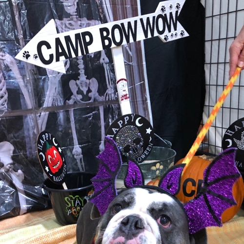 Howl A Ween