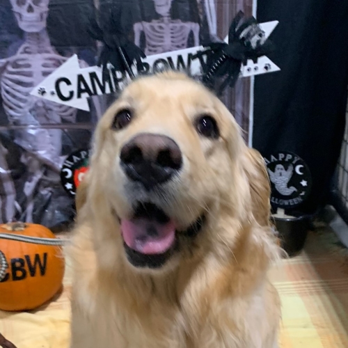 Howl A Ween