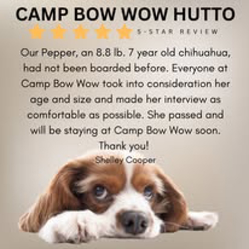 Our Campers