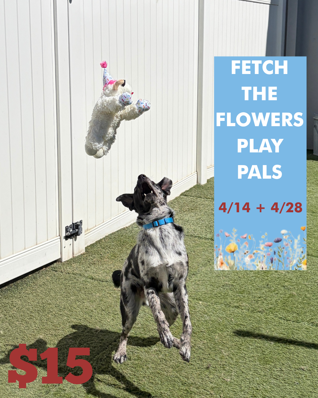 Fetch the Flowers Play Pals