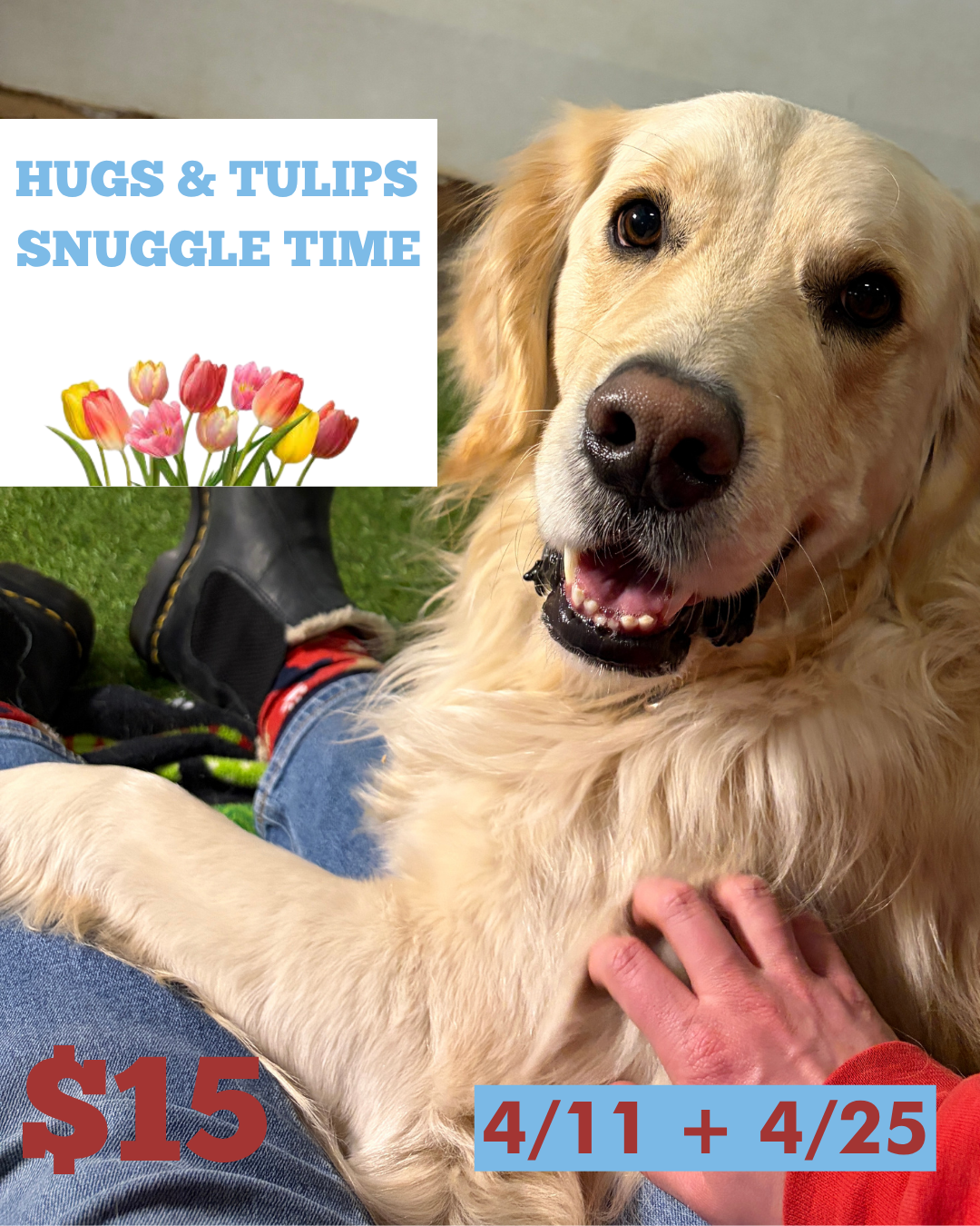 hugs & tulips snuggle time