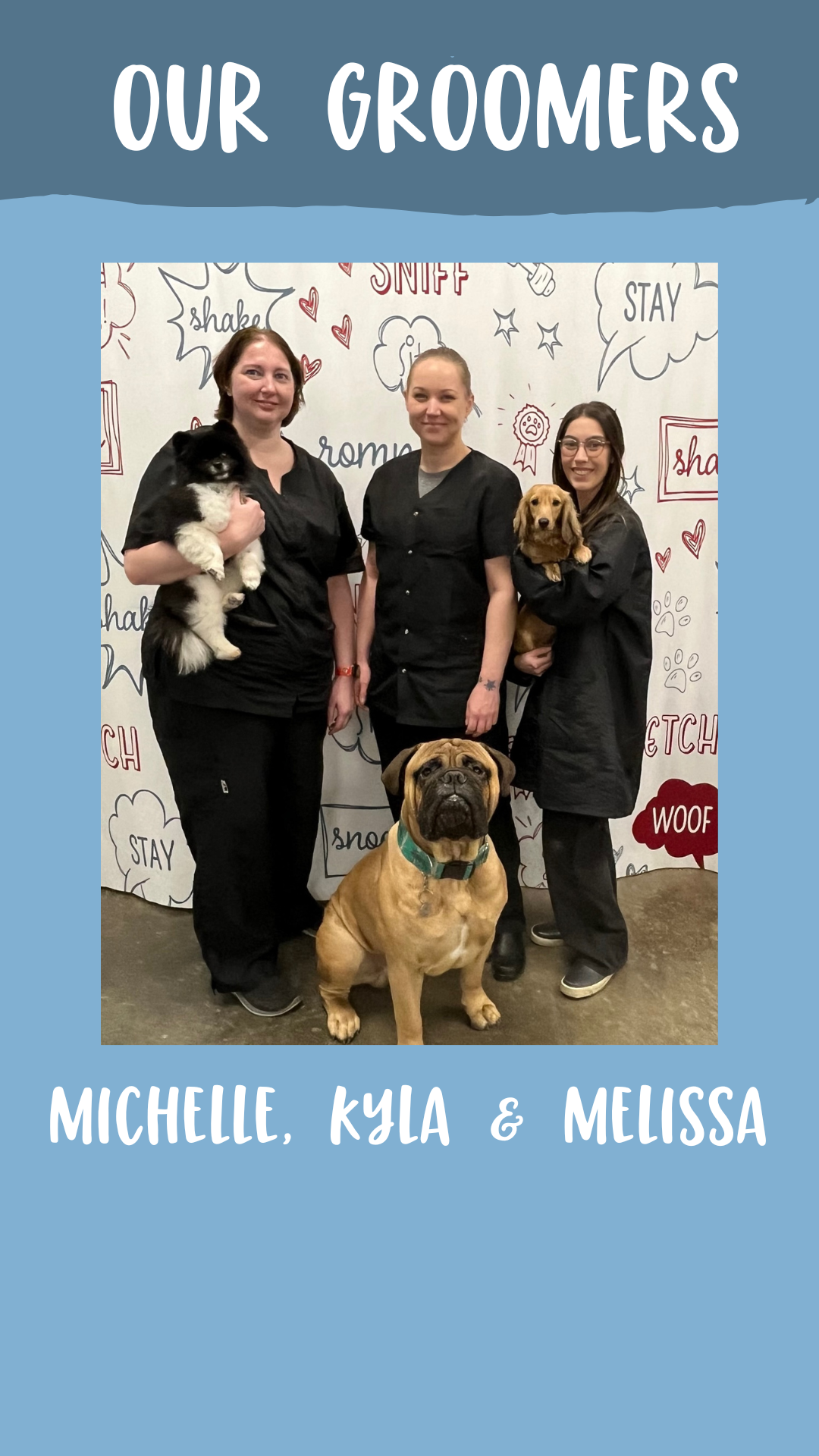 photo of Camp Bow Wow Delaware North groomers Michelle, Kayla, and Melissa each with a dog