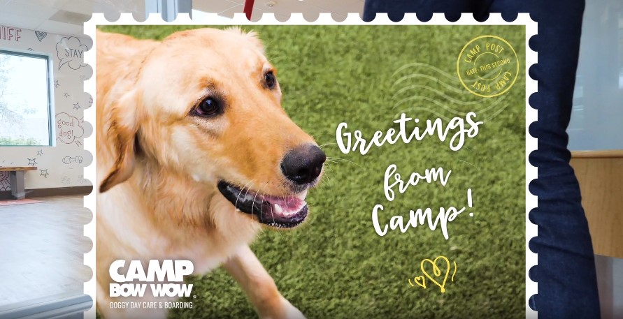 Greetings from Camp Postcard